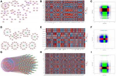 Multiomics integration reveals the effect of Orexin A on glioblastoma